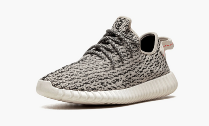 Yeezy Boost 350 Turtledove