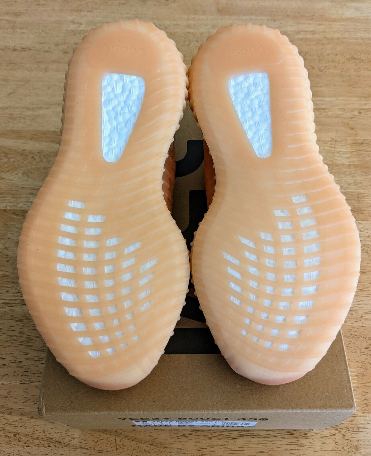 Adidas Yeezy Boost 350 V2 Mono Clay